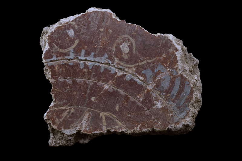 Thick fragment w deep grooves on back where attached to wall.  On red-painted front surface three concentric widely-spaced, preparatory incisions: outermost decorated w greenish stripe across which short stripes for ca half pres length  & from which on other h curving stripes extend to broken edge; along central groove pinkish dots; yellowish hollow triangles extend from broken edge to smallest groove.  Outside of largest groove pair of white hooks w large dot in center.