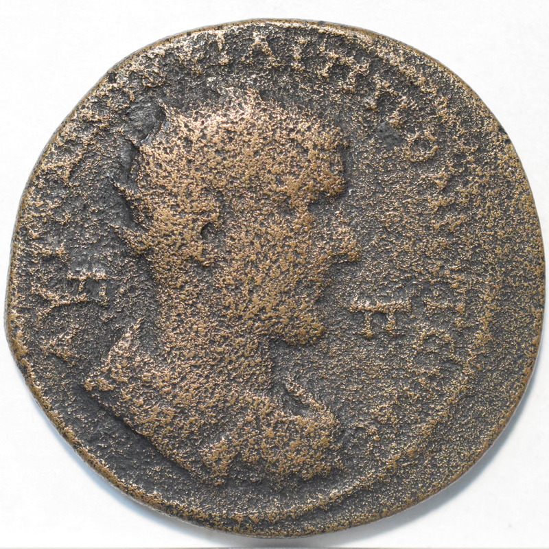 Toomey Coll.