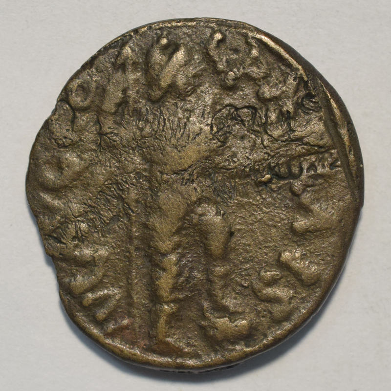 Mislabeled? Toomey Coll.