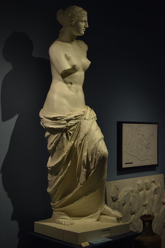 Cast of an original in the Louvre Museum, Paris, France. Aphrodite (Roman Venus) was the goddess of beauty and erotic love in Classical Mythology. According to tradition, she was born from the sea foam (aphros) and came to land on Cyprus. Her over-lifesized statue in the Wilcox faces you as you enter the front door, and is a plaster cast of a Greek original of ca. 150 B.C., now in the Louvre Museum (Paris, France), along with fragments of the upper and lower left arm and hand with an apple. Inventory no. 399/400. Parian marble. H. 2.04 m. (6 ft. 2 in.). 

Viewers often do not realize that this statue was made from two blocks of stone: the torso and head, and the draped lower body. The sections join horizontally at hip level, and the costume masks the break. (A related statue, the Poseidon of Melos now in Athens, was made in the same way). The use of two smaller blocks of marble may have been cheaper than employing a single, huge block of stone. Aphrodite stands nearly frontal in a relaxed, sinuous pose. Notice too that her head is fairly small relative to the rest of the body, and her features quite bland. The hair is parted in the center with locks pulled to the back of the head and loosely knotted; a few tresses hang down the neck. Attachment holes once held metal earrings and a hairband.

Though both arms are incomplete, careful inspection of the angle of the lowered right shoulder and raised left shoulder indicate that both limbs were held to the front and slightly away from the body, with the right arm crossing the torso diagonally. Originally, our figure held an apple as a love-token awarded by prince Paris of Troy. Perhaps a pun was intended, for the Greek word for apple (mêlon) recalls the name of the island and city of Melos. Thus she may be a personfication rather than Aphrodite alone.

A drawing of the lost base depicts a cutting for a vertical strut near the left foot to help her support the missing attribute. The drapery of the figure is suggestive as well: this is neither the blatantly naked goddess of Near Eastern myth, nor the fully clad figure of earlier generations of Greek art. Instead, only the torso is nude, and the clothing covers just the lower half of the body. The garment appears ready to slip off at any moment, however, and the contrast between smooth, bare flesh and concealing drapery invites the spectator to imagine the body underneath. Since no one point of view is emphasized, one wants to look at the figure from all angles. All these stylistic characteristics have helped scholars assign the figure to the mid-2nd c. B.C.

The statue  was found on the volcanic Greek island of Melos in the Aegean Sea in 1822. Originally she stood in a niche in a gymnasium, or exercise yard, where men exercised in the nude or talked with friends (women were excluded). Therefore, she was probably not a cult statue, but rather a type of decoration (not unlike modern "garden art"). During the Hellenistic period (323-30 B.C.) such sculpture became popular, and eventually the Romans acquired similar tastes. An inscribed base (now lost) names [Alex-] or [Ages-] ander of Antioch-on-the-Meander in Turkey as sculptor (see line drawing).

During the Hellenistic period, less traditional views of the gods of Mt. Olympus became increasingly popular, especially Aphrodite who is shown in a number of new ways: nude, about to bathe, emerging from the bath, or in the company of her son Eros (Cupid). Nevertheless, the Melos statue belongs historically to an unsettled political period, when many of the Greek citystates were losing ground to the Romans, who were increasingly interferring in the world of the Eastern Mediterranean. Little more than a century after our Aphrodite was carved, a pan-Mediterranean Roman empire emerged (30 B.C.). Whether you admire the Aphrodite of Melos as a "masterpiece" or not, she challenges us to look at her from different historical perspectives and artistic points of view.