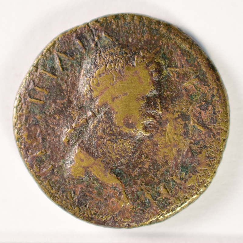 Toomey Coll.