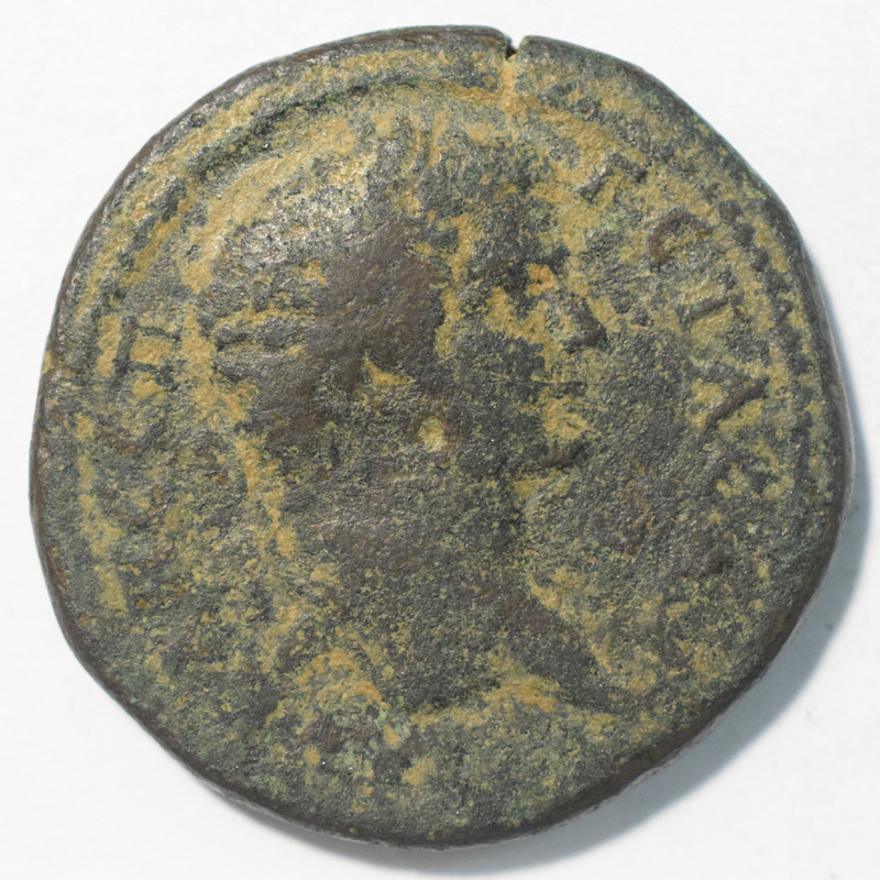 Toomey Coll.